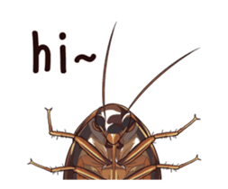 International Cockroach sticker #14779358