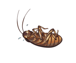 International Cockroach sticker #14779365