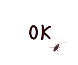 International Cockroach sticker #14779369