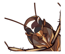 International Cockroach sticker #14779376
