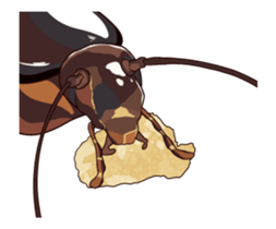 International Cockroach sticker #14779378