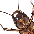 International Cockroach