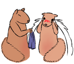 Drunk Squirrel 2 sticker #14782196