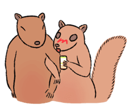 Drunk Squirrel 2 sticker #14782201