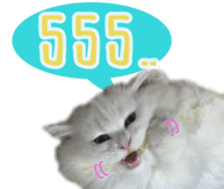 Tang and Ty buddy Cat & Dog sticker #14783302