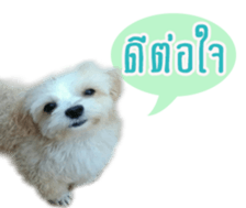 Tang and Ty buddy Cat & Dog sticker #14783303