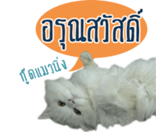 Tang and Ty buddy Cat & Dog sticker #14783306