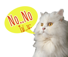 Tang and Ty buddy Cat & Dog sticker #14783307