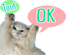 Tang and Ty buddy Cat & Dog sticker #14783308