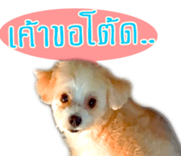 Tang and Ty buddy Cat & Dog sticker #14783310