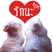 Tang and Ty buddy Cat & Dog sticker #14783316