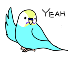 Normal and English Budgies English ver sticker #14783766