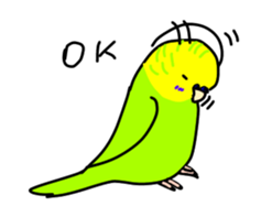 Normal and English Budgies English ver sticker #14783773