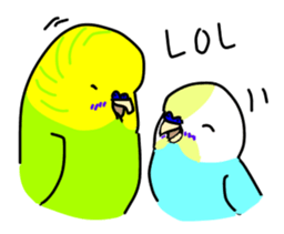 Normal and English Budgies English ver sticker #14783774