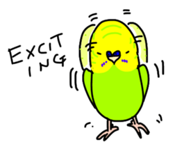 Normal and English Budgies English ver sticker #14783781