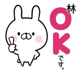 Hayashi's rabbit sticker sticker #14784430