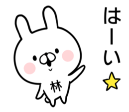 Hayashi's rabbit sticker sticker #14784431