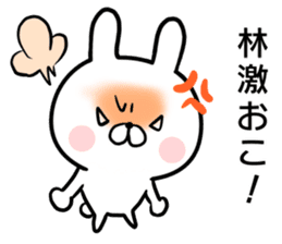 Hayashi's rabbit sticker sticker #14784436