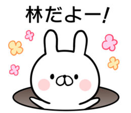 Hayashi's rabbit sticker sticker #14784443