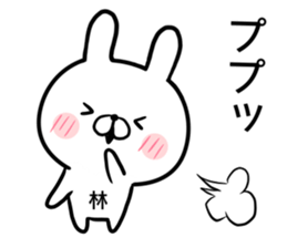 Hayashi's rabbit sticker sticker #14784446