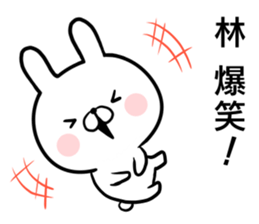 Hayashi's rabbit sticker sticker #14784447