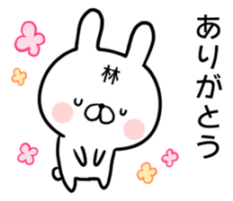 Hayashi's rabbit sticker sticker #14784448