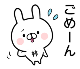 Hayashi's rabbit sticker sticker #14784449
