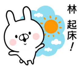Hayashi's rabbit sticker sticker #14784450