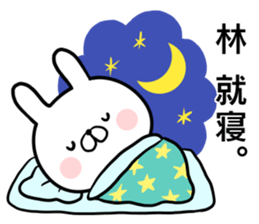 Hayashi's rabbit sticker sticker #14784451