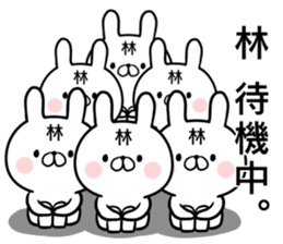 Hayashi's rabbit sticker sticker #14784452