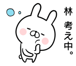 Hayashi's rabbit sticker sticker #14784453