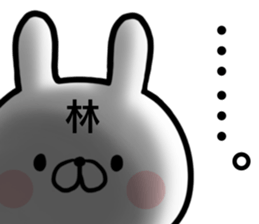 Hayashi's rabbit sticker sticker #14784454