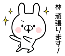 Hayashi's rabbit sticker sticker #14784456