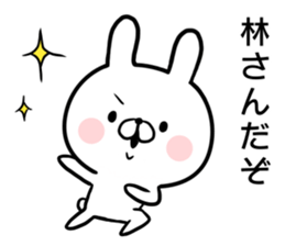 Hayashi's rabbit sticker sticker #14784457