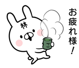 Hayashi's rabbit sticker sticker #14784458