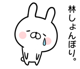 Hayashi's rabbit sticker sticker #14784459