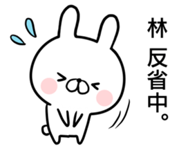 Hayashi's rabbit sticker sticker #14784464