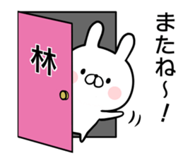 Hayashi's rabbit sticker sticker #14784467