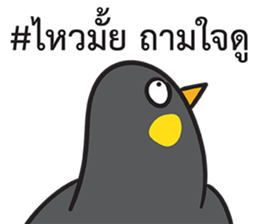 Let's Speak with Hill Myna Thai hashtag sticker #14785056