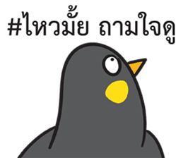 Let's Speak with Hill Myna Thai hashtag sticker #14785056