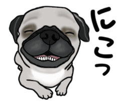 Move! Sticker of Pug sticker #14786009