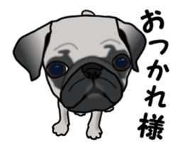 Move! Sticker of Pug sticker #14786015