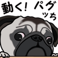 Move! Sticker of Pug