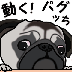 Move! Sticker of Pug