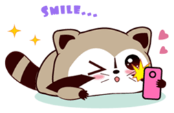 North American Raccoon (V3-Daily Life) sticker #14786621