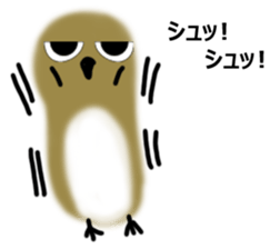 Mr. owl Sticker sticker #14788591