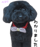 Cute toy poodles' stickers sticker #14788919