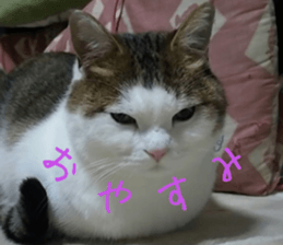 Mimume routine 1 sticker #14790305