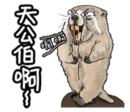 Goodman shin's Life Taiwan Zoo account sticker #14790886