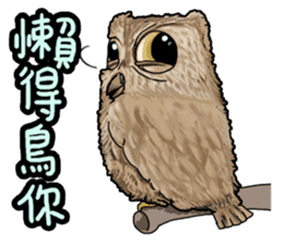 Goodman shin's Life Taiwan Zoo account sticker #14790888